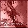 Darkrose